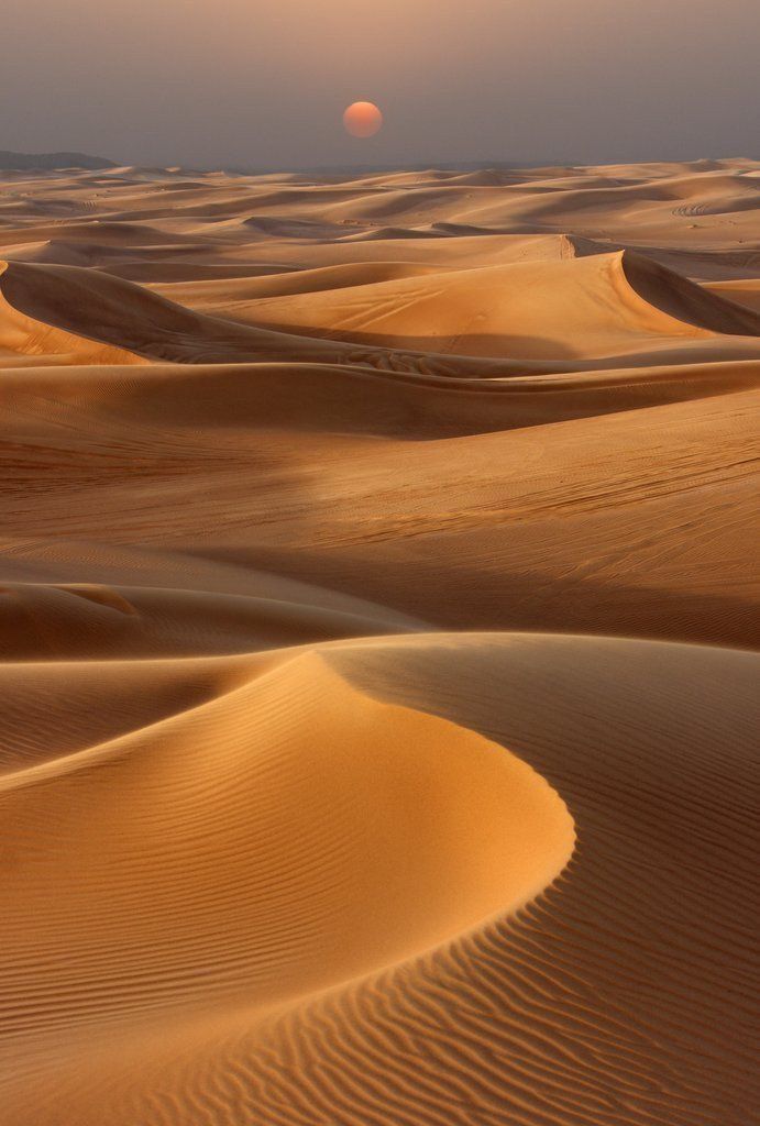 medanos-coro